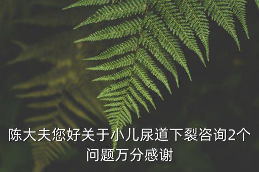陳方上海市兒童醫(yī)院，陳大夫您好關(guān)于小兒尿道下裂咨詢2個問題萬分感謝