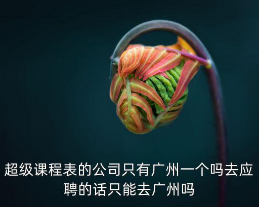 超級課程表的公司只有廣州一個嗎去應聘的話只能去廣州嗎