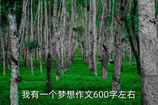 我有一個夢想作文600字左右