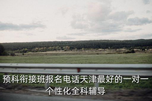 預科銜接班報名電話天津最好的一對一個性化全科輔導
