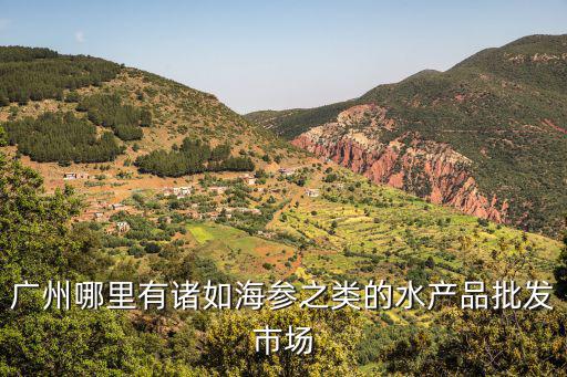 廣州海參批發(fā)市場在哪豬仔參，海參市場在哪