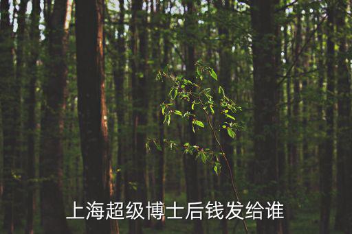 上海超級博士后錢發給誰