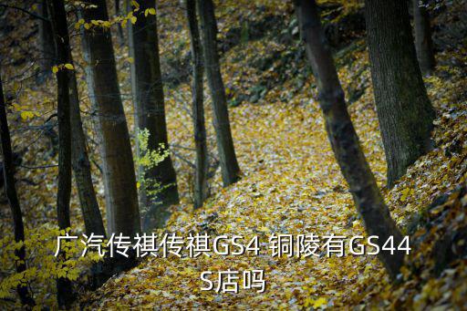 廣汽傳祺傳祺GS4 銅陵有GS44S店嗎