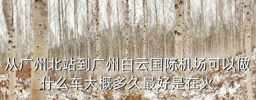 從廣州北站到廣州白云國際機場可以做什么車大概多久最好是在火