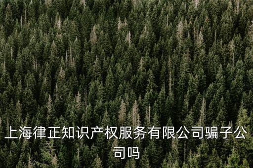 上海市浦東新區(qū)向城路58號16層e座，浦東向城路58號21樓C座自稱是浦東商標(biāo)所有個王先生打電話說我們公司的