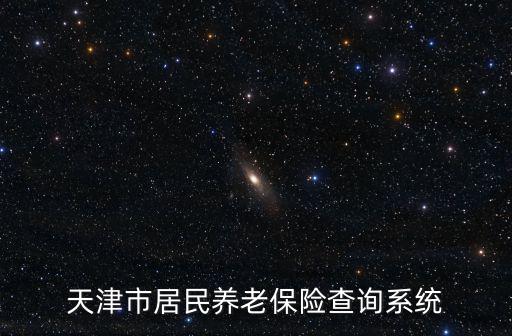 天津市居民養(yǎng)老保險(xiǎn)查詢系統(tǒng)