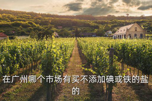 在廣州哪個市場有買不添加碘或鐵的鹽的