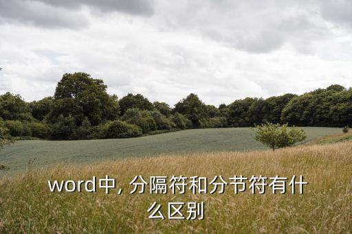 word分隔符,如何顯示分隔符標記?