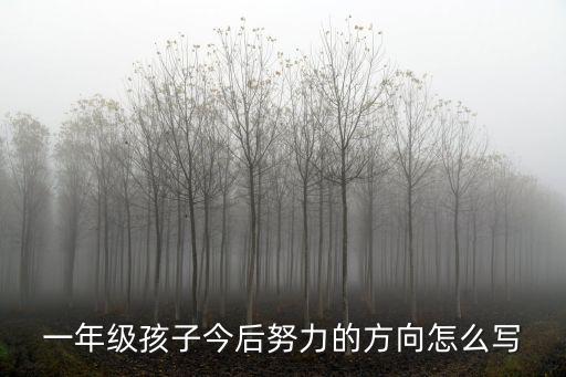 一年級(jí)孩子今后努力的方向怎么寫