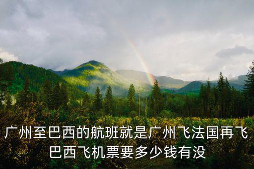 廣州飛法國頭等艙價格，廣州至巴西的航班就是廣州飛法國再飛巴西飛機票要多少錢有沒
