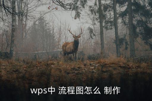 wps中 流程圖怎么 制作