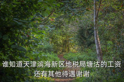 誰知道天津濱海新區地稅局塘沽的工資還有其他待遇謝謝