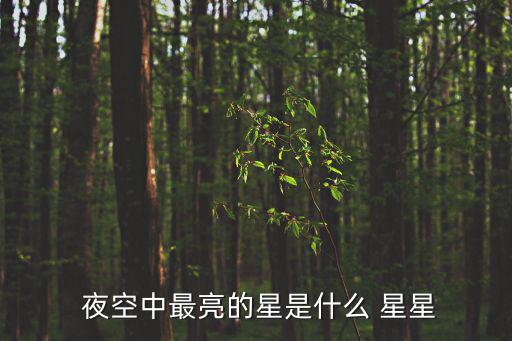  夜空中最亮的星是什么 星星