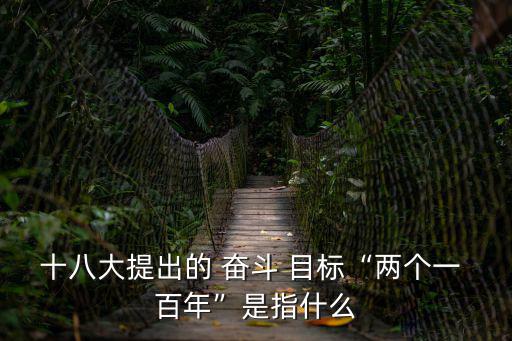 十八大提出的 奮斗 目標(biāo)“兩個一 百年”是指什么