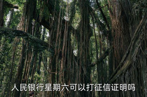 人民銀行星期六可以打征信證明嗎