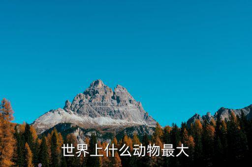 世界上什么動物最大