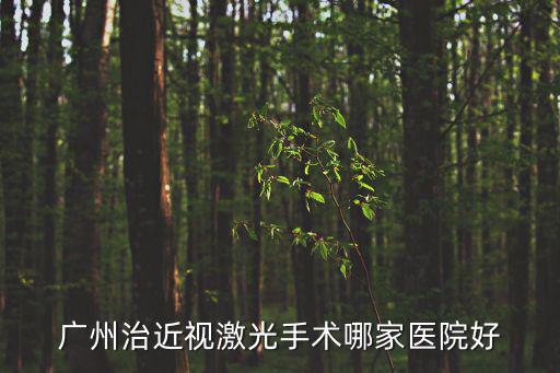 廣州治近視激光手術(shù)哪家醫(yī)院好