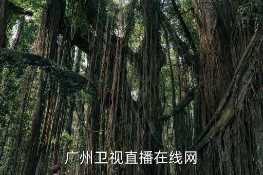 廣州衛視直播在線網