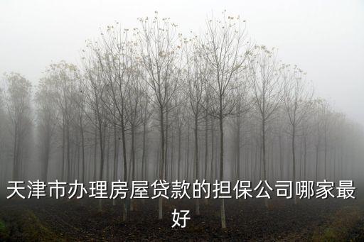 天津市融資擔保研究院，天津市辦理房屋貸款的擔保公司哪家最好