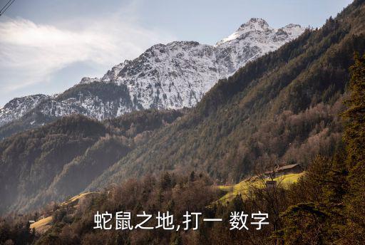 蛇鼠之地,打一 數字