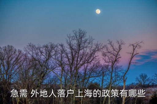 急需 外地人落戶上海的政策有哪些