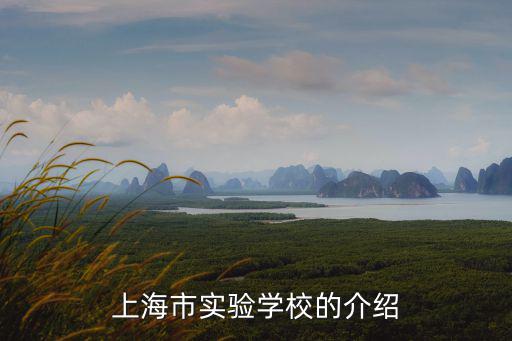 上海市實驗學校的介紹