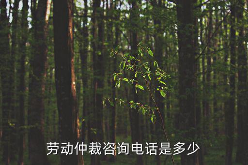 勞動仲裁咨詢電話是多少