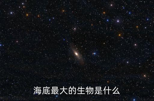 海底最大的生物是什么