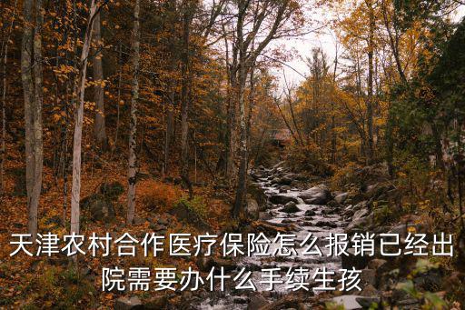 天津農村合作醫療保險怎么報銷已經出院需要辦什么手續生孩
