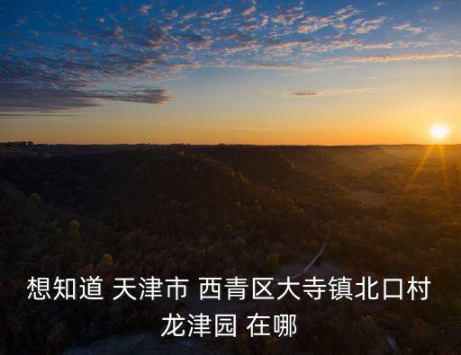 想知道 天津市 西青區大寺鎮北口村龍津園 在哪