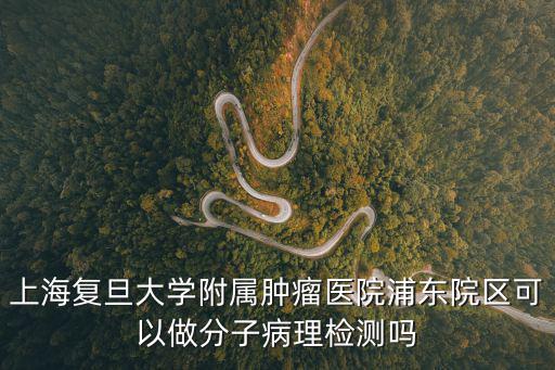 上海附屬腫瘤醫(yī)院浦東區(qū)，復(fù)旦附屬腫瘤醫(yī)院