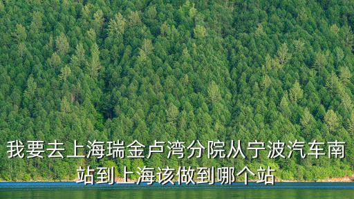 上海市瑞金醫(yī)院盧灣，我要去上海瑞金盧灣分院從寧波汽車南站到上海該做到哪個站