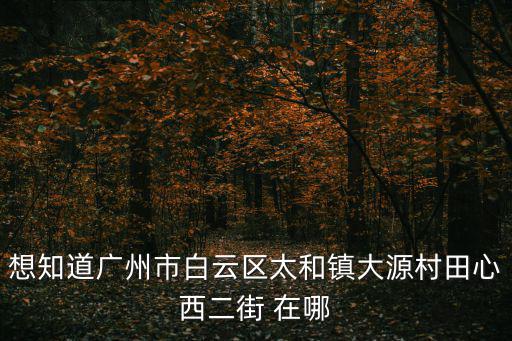 想知道廣州市白云區太和鎮大源村田心西二街 在哪