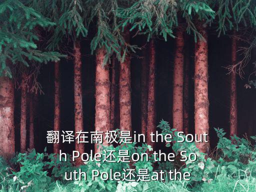 翻譯在南極是in the South Pole還是on the South Pole還是at the