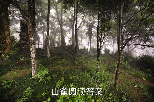山果閱讀答案，除夜作 閱讀答案