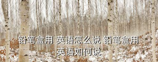  鉛筆盒用 英語怎么說 鉛筆盒用 英語如何說