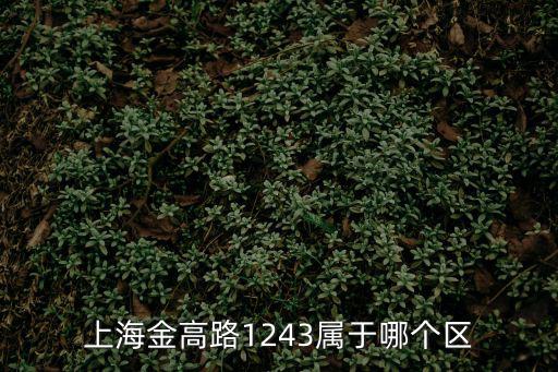 上海金高路1243屬于哪個區