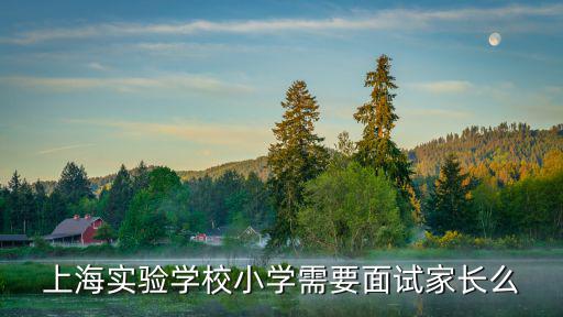 上海市某實驗小學入學面試題，試題 下面是上海實驗小學的一則評語默默無聲的你總是踏踏實實