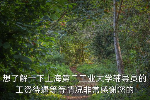 想了解一下上海第二工業大學輔導員的工資待遇等等情況非常感謝您的