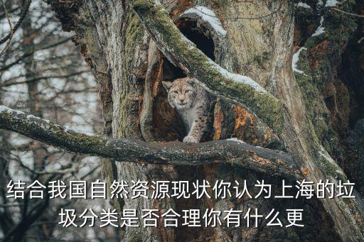 結合我國自然資源現狀你認為上海的垃圾分類是否合理你有什么更