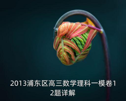 2013浦東區(qū)高三數(shù)學(xué)理科一模卷12題詳解