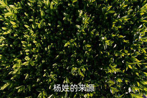 楊姓的由來,四川楊姓人口約380萬是楊姓第一大省
