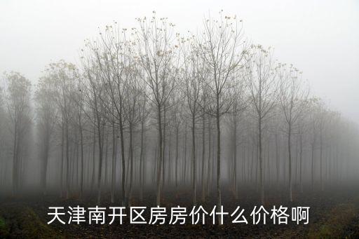 天津市南開區大悅城房價，天津南開區房房價什么價格啊