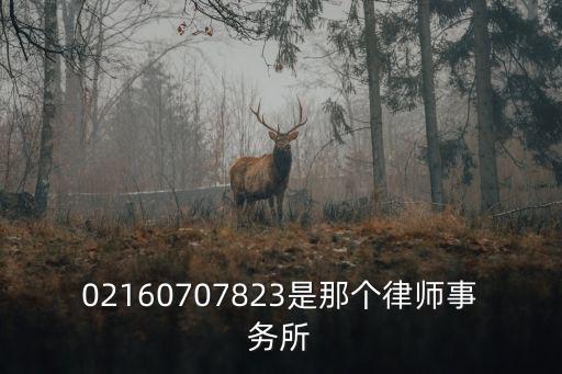 02160707823是那個(gè)律師事務(wù)所