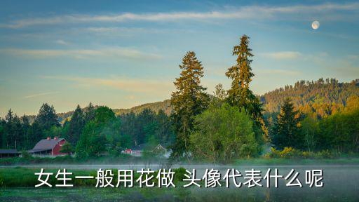 花草頭像,用花草做頭像的人都變老了