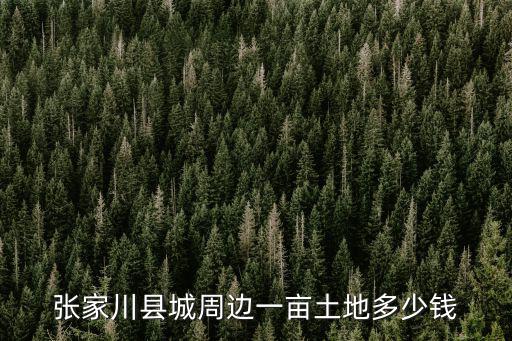 張家川縣城周邊一畝土地多少錢