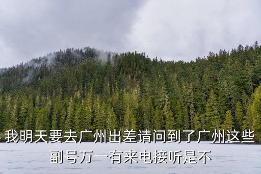 我明天要去廣州出差請問到了廣州這些副號萬一有來電接聽是不