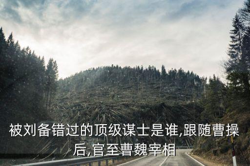 魏律,《晉律》首次區(qū)分重要法律概念罪名和法條