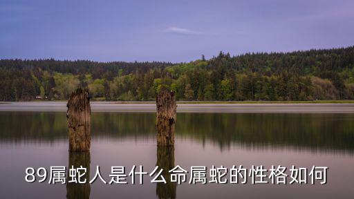 89屬蛇人是什么命屬蛇的性格如何