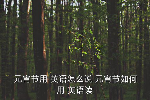 元宵的英語,中國元宵節的來歷